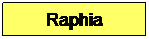 Zone de Texte: Raphia
