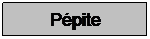 Zone de Texte: Pépite
