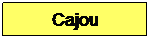 Zone de Texte: Cajou
